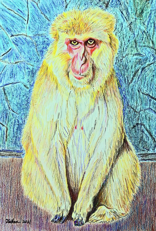 Monkey King #2 Drawing by Taikan Nishimoto