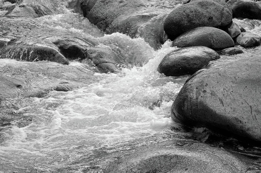 Monochrome Dinkey Creek #1 Photograph by Eric Forster