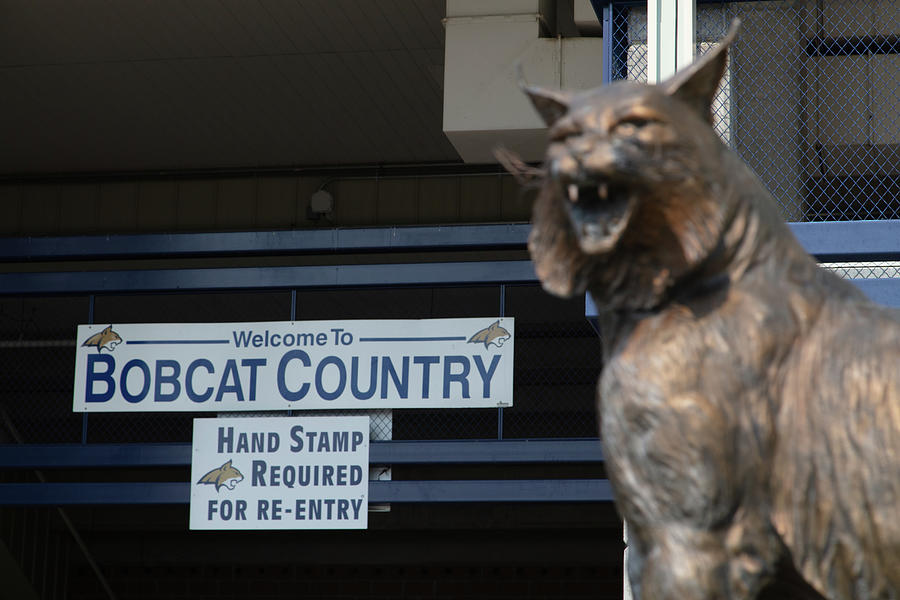 Montana State University Bobcat statue #1 Photograph by Eldon McGraw