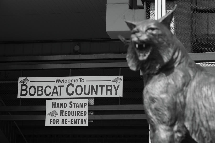 Montana State University Bobcat statue in black and white #1 Photograph by Eldon McGraw