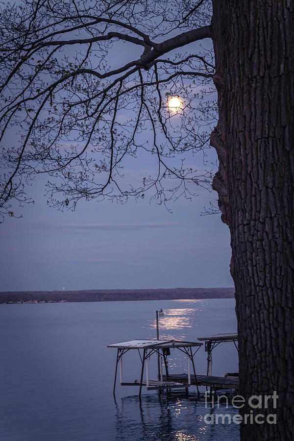 Moon Glow #1 Photograph by William Norton