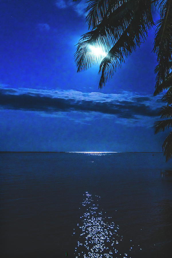 Moon Night Reflection Blue Water Moorea Tahiti Photograph by William ...