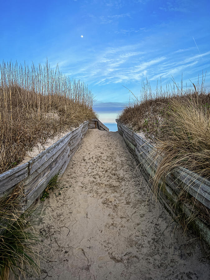 Moon Over The Beach Path Outer Banks North Carolina 1 Photograph By