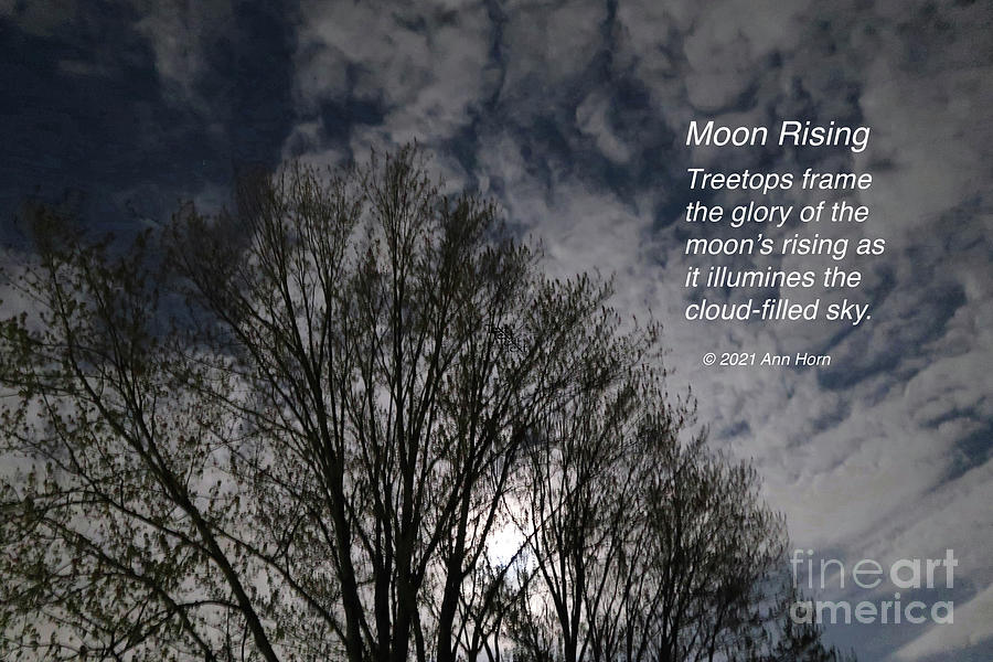 Moon Rising and Text Photograph by Ann Horn
