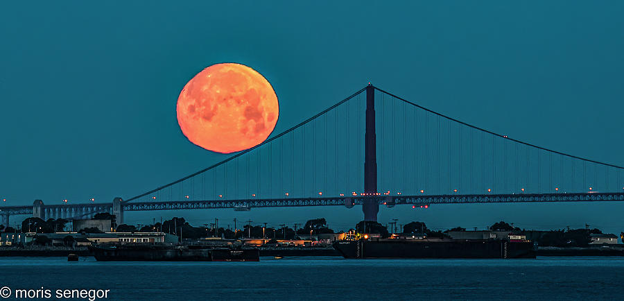 Moon Set, Golden Gate Bridge #1 Photograph by Moris Senegor