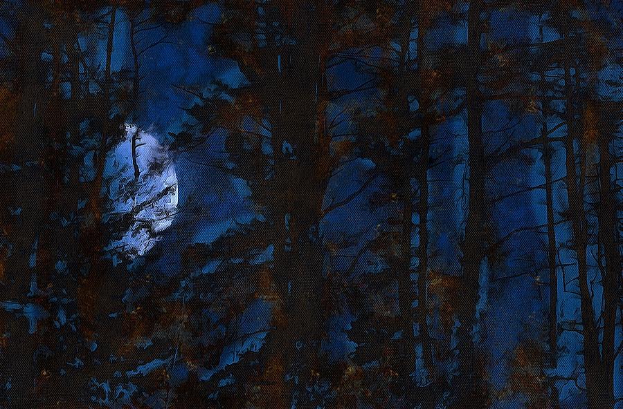 Moonlight through the Trees Mixed Media by Christopher Reed