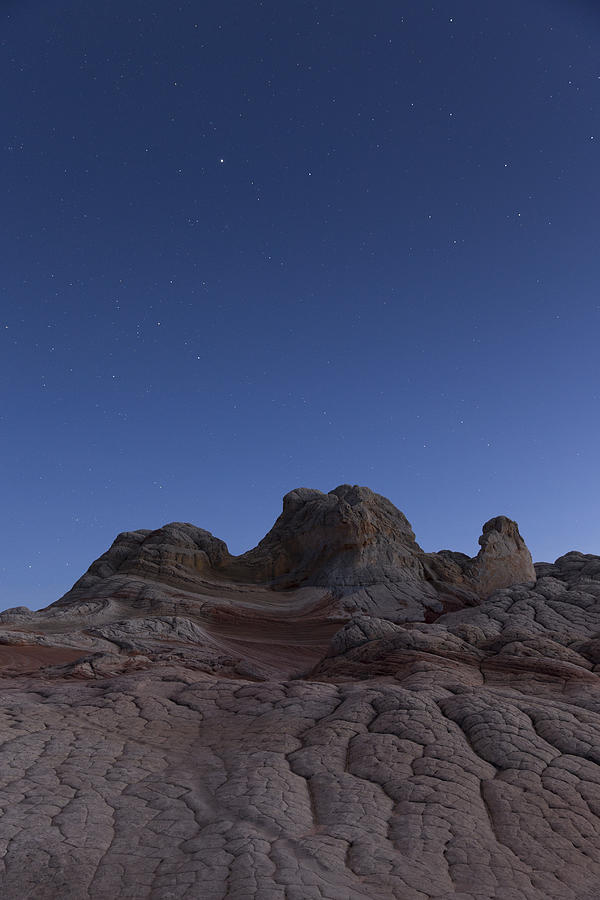 Moonlit landscape, White Pocket, Arizona, USA #1 Photograph by David Clapp