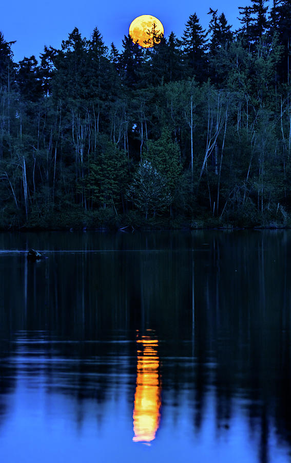 Moonrise Lake Ballinger Edmonds Washington #1 Photograph by Tommy Farnsworth