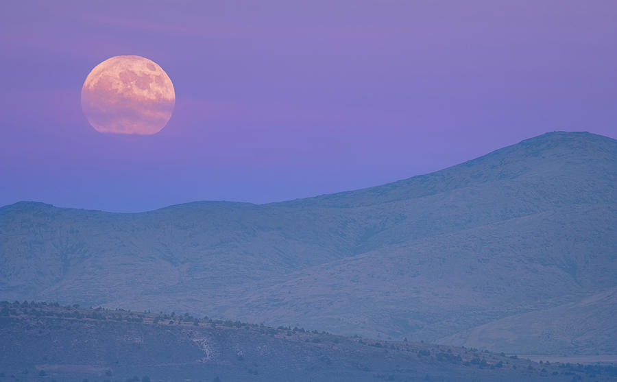 Moonrise Photograph by Randy Robbins Moonrise Photograph by Randy Robbins