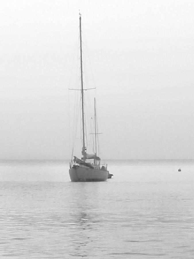 Sailboat Moored in Cruz Bay St. John USVI Photograph by Mark Norman