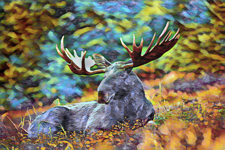 Moose Laying in Wildflowers, #1 Digital Art by The James Roney Collection