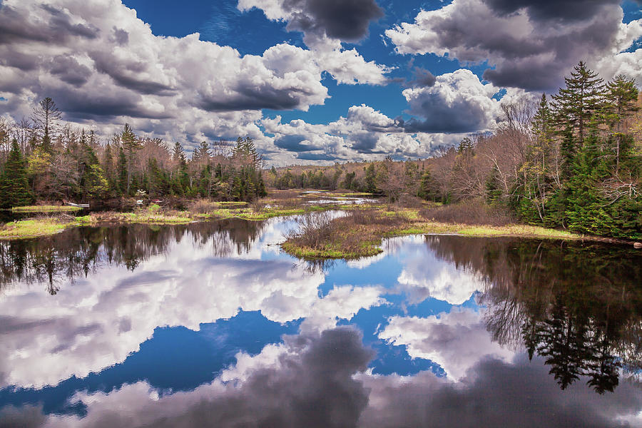 Moose River Reflections #1 Photograph by David Patterson