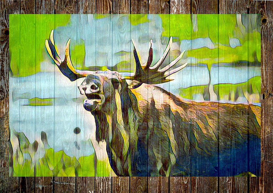 Moose #1 Digital Art by Steven Parker