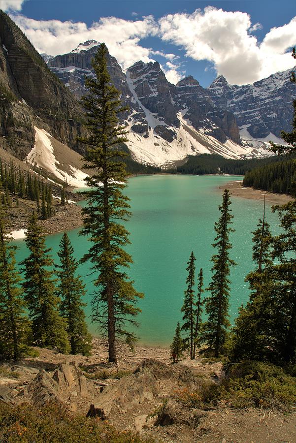 Moraine Lake Banff,AB Photograph by Jing Yu - Fine Art America