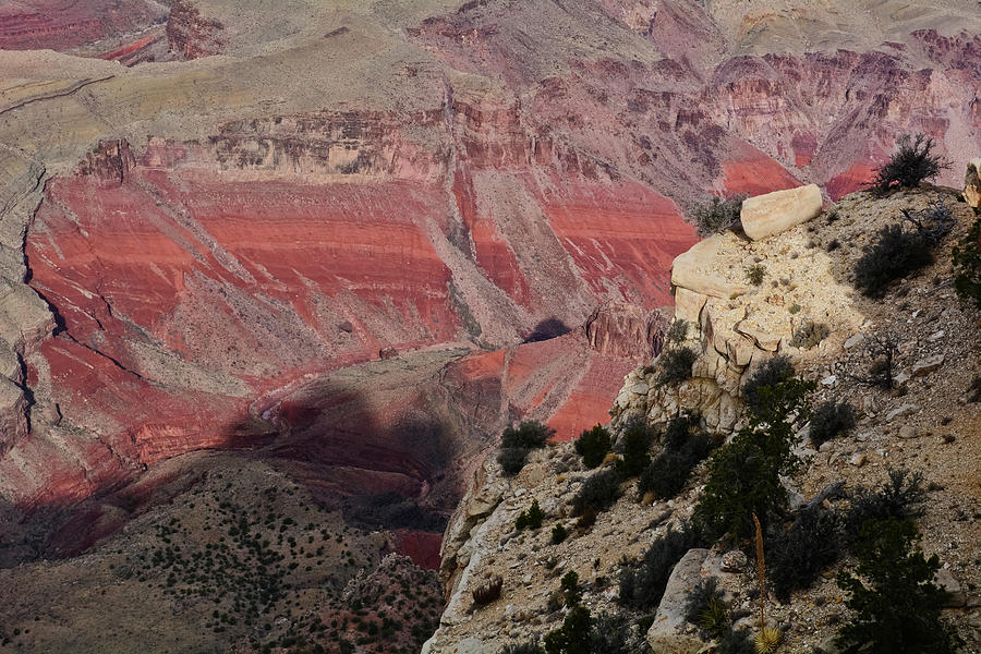 Moran Point Grand Canyon Landscape #1 Photograph by Kyle Hanson