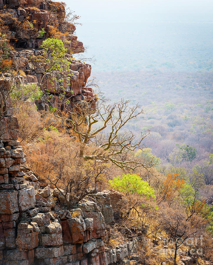 Moremi Gorge Botswana  #1 Photograph by THP Creative