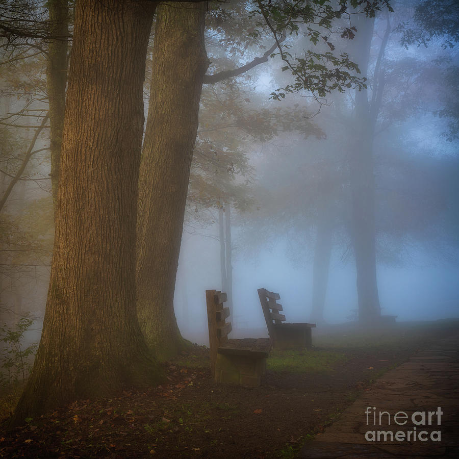 Morning fog #1 Photograph by Izet Kapetanovic