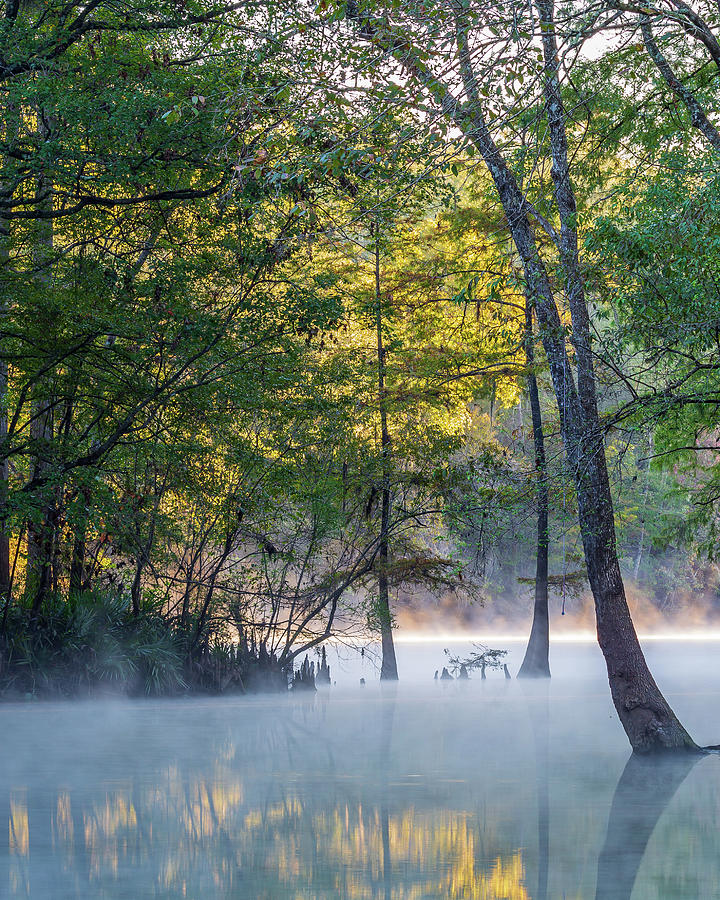 Fall Photograph - Morning Glow at Ginnie Springs #1 by Stefan Mazzola