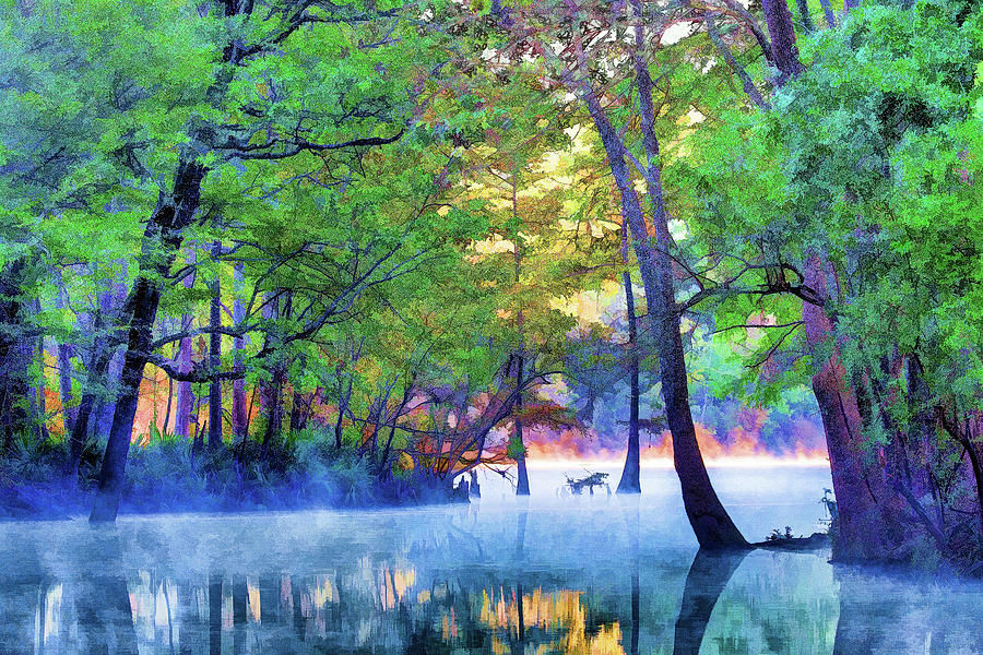 Morning Light at Ginnie Springs #1 Photograph by Stefan Mazzola
