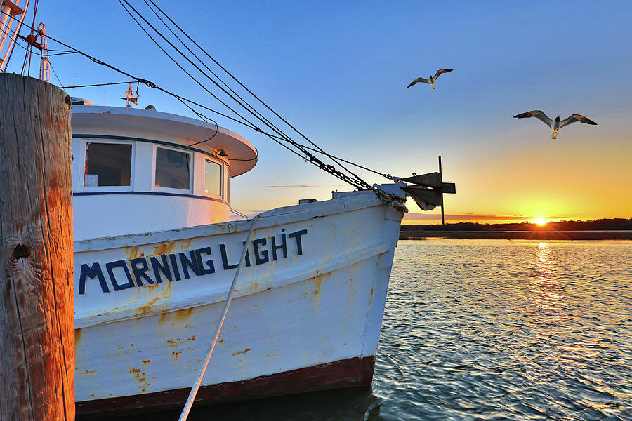North Carolina Photograph - Morning Light #1 by Terrah Hewett