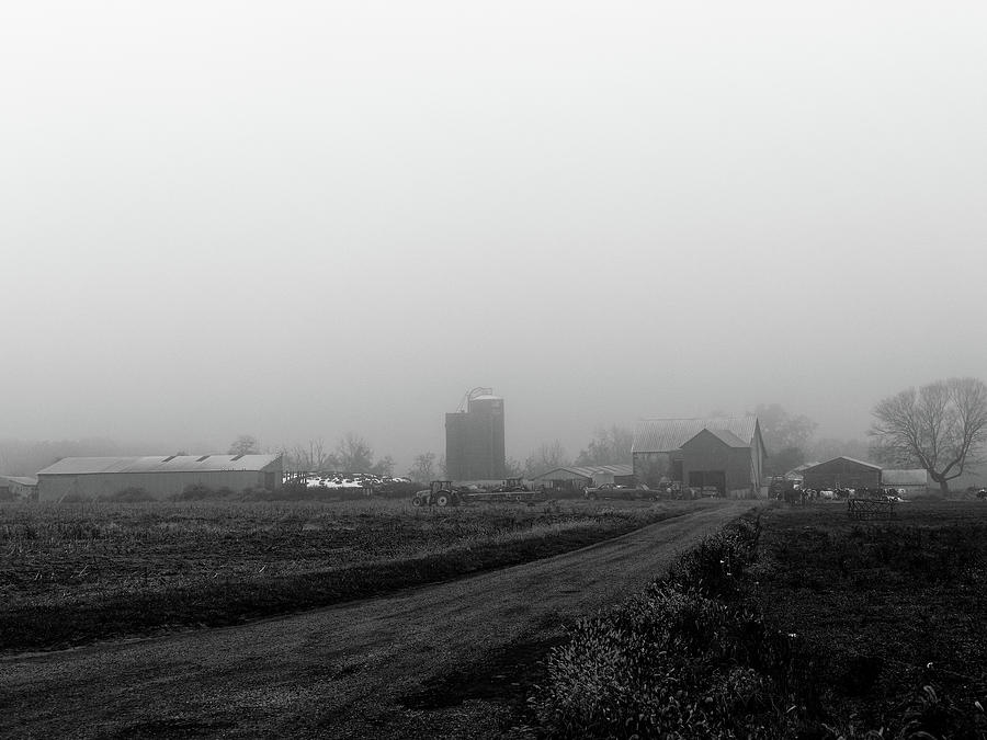 Morning Mist Photograph