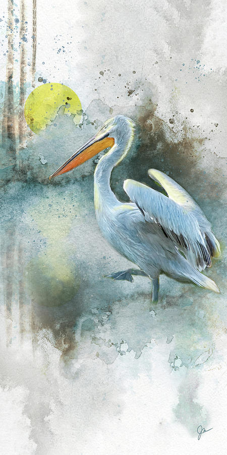Morning Pelican Painting by Jeanette Mahoney