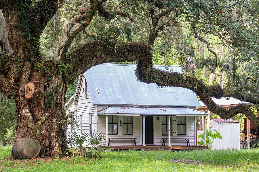 Moses Ficklin Cottage and Oak Tree, Daufuskie Island, South Carolina Photograph by Dawna Moore Photography