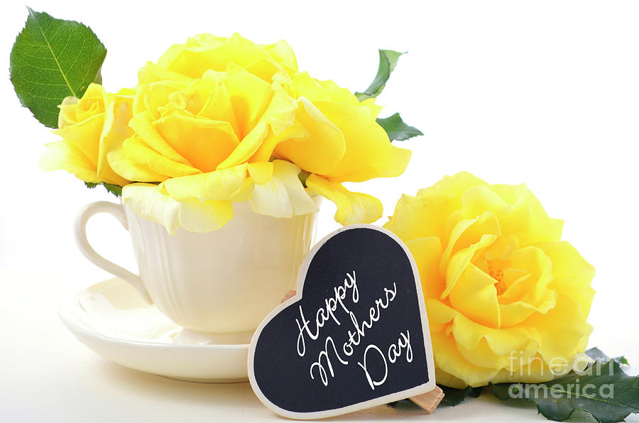 Spring Photograph - Mothers Day yellow roses #1 by Milleflore Images