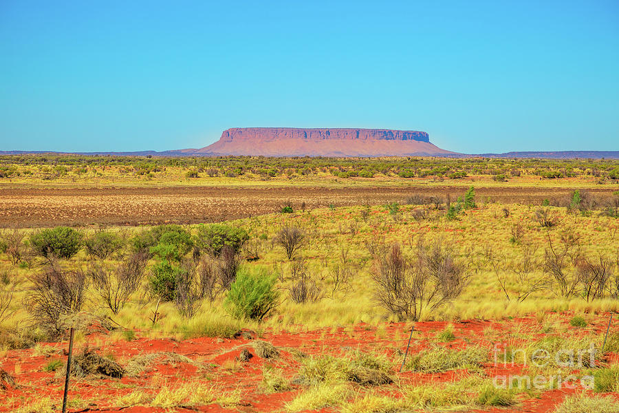 Mount Conner near Uluru #1 Photograph by Benny Marty