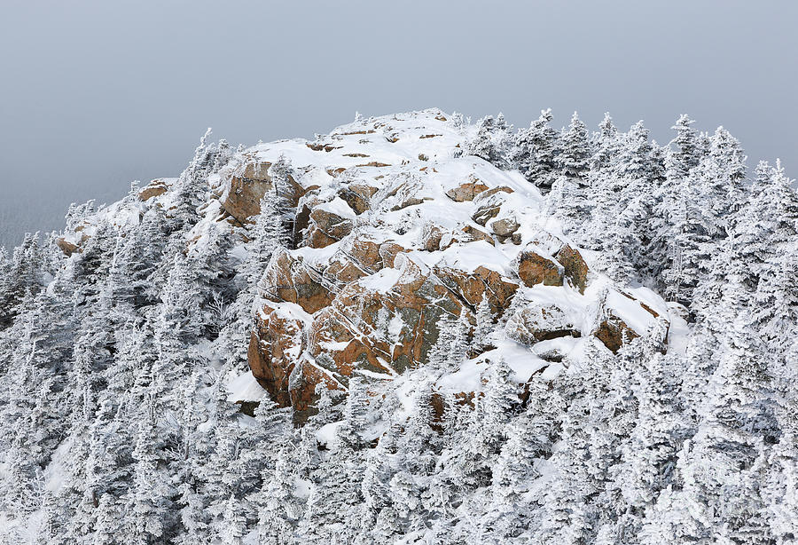 Mount Liberty - White Mountains New Hampshire USA #1 Photograph by Erin Paul Donovan
