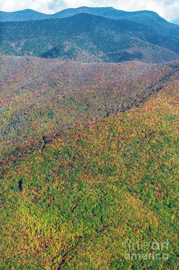 Mount Mitchell State Park in Autumn Colors #1 Photograph by David Oppenheimer