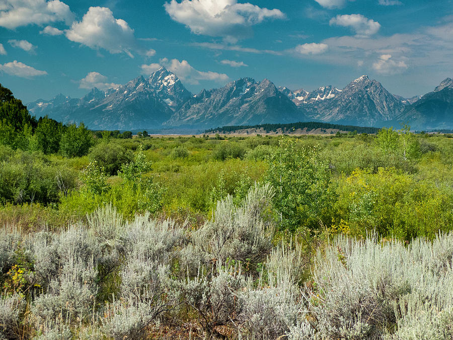 Mount Moran Grand Teton National Park Photograph By David L Moore - Pixels