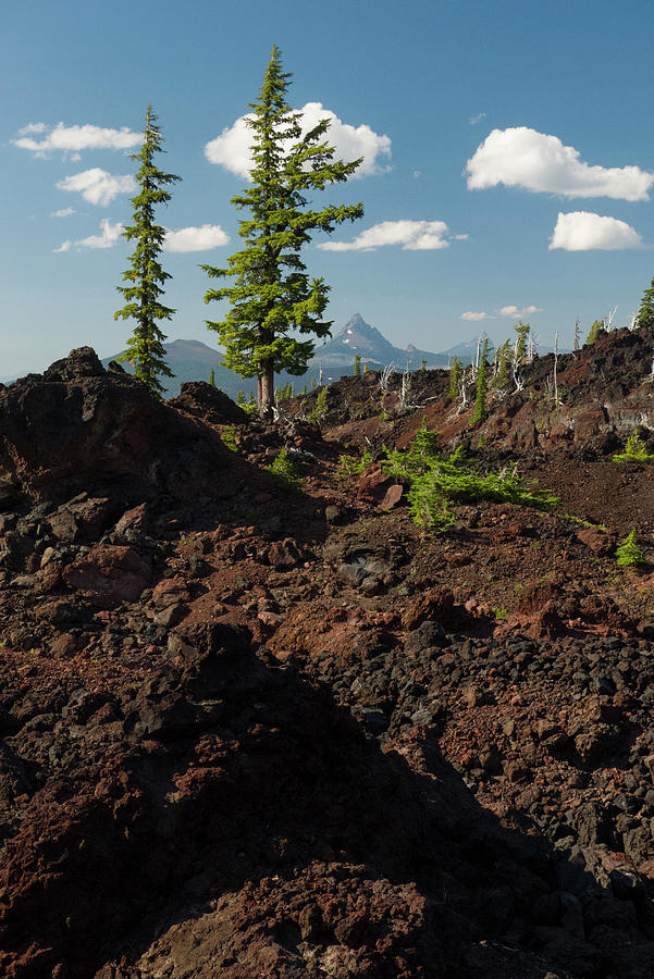 Mount Washington above ancient lava field at Sawyer Bar #1 Photograph by David L Moore