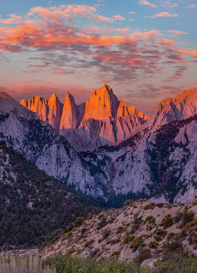 Nature Photograph - Mount Whitney, Sequoia National Park Inyo, National Forest, California, USA #1 by Tim Fitzharris
