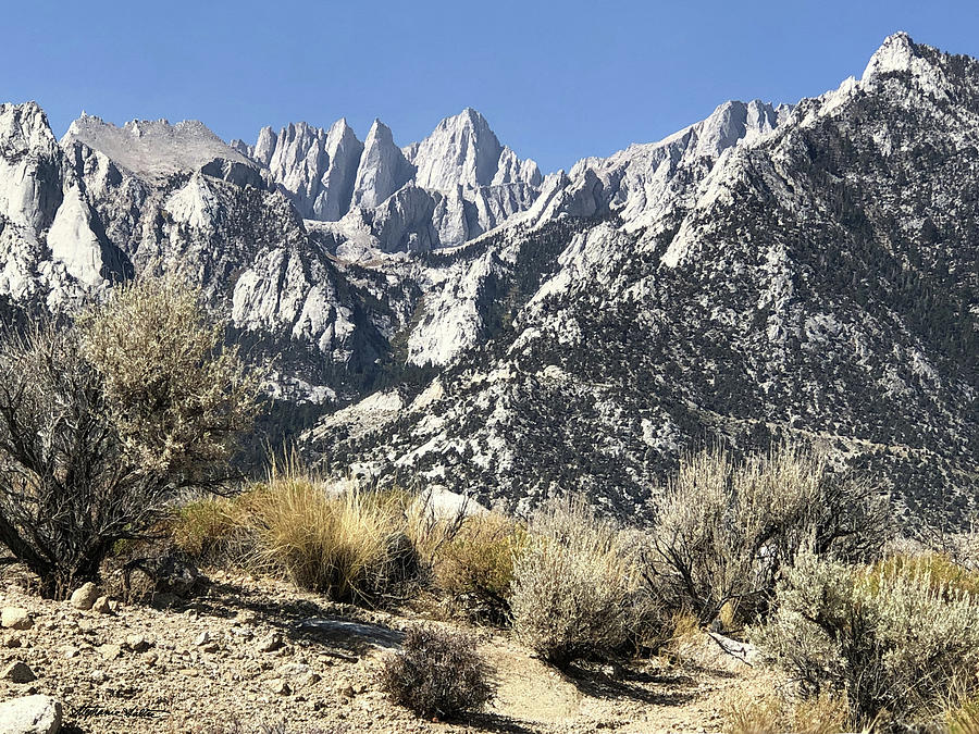 Mount Whitney #1 Photograph by Stephanie Salter