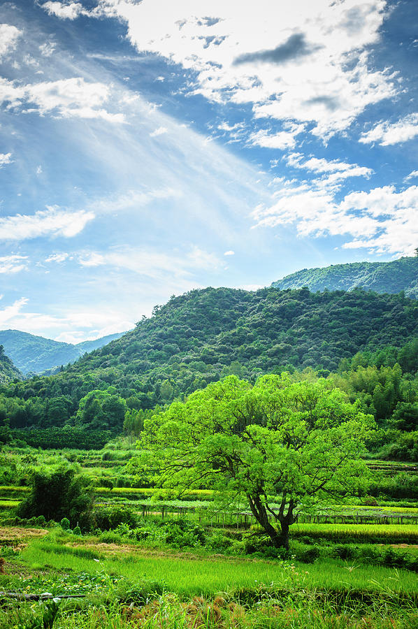 Mountain and countryside scenery #1 Photograph by Carl Ning