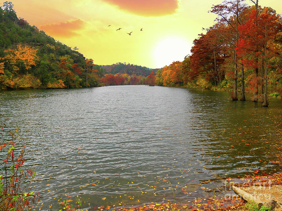 Mountain Fork River In Autumn Photograph