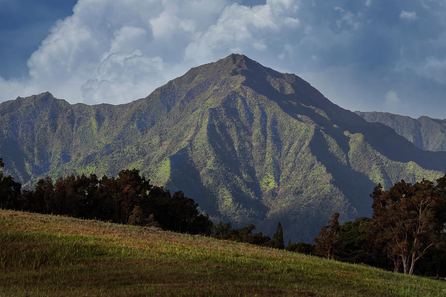 Mountain In Kauai #1 Photograph by Frank Wilson