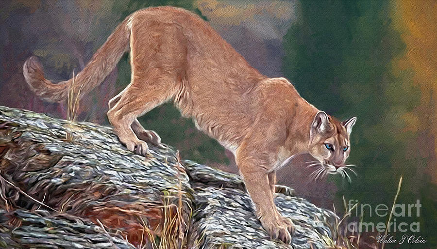 Mountain Lion #2 Digital Art by Walter Colvin