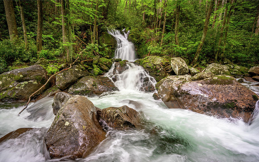 Mouse Creek Falls #1 Photograph by Darrell DeRosia