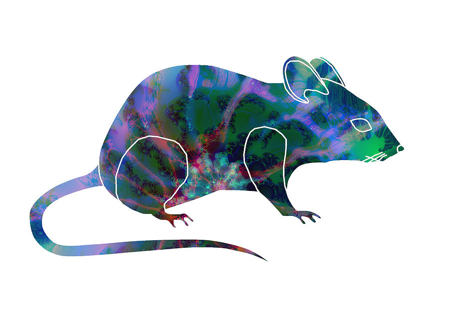 Mouse Pattern Filled Animal Art Design Drawing Transparent PNG Motif ...