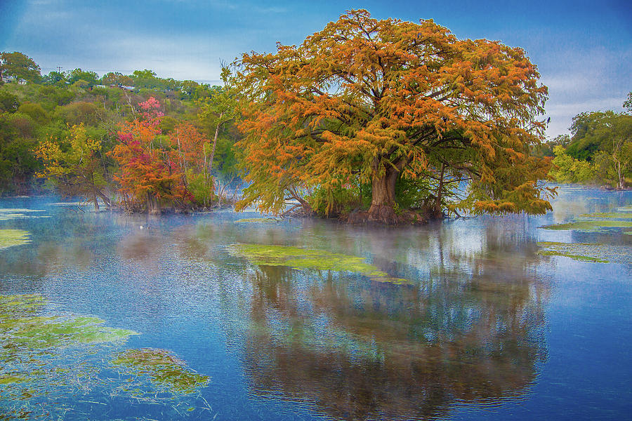 Mouth of Comal River in New Braunsfel Texas Photograph by Daniel ...