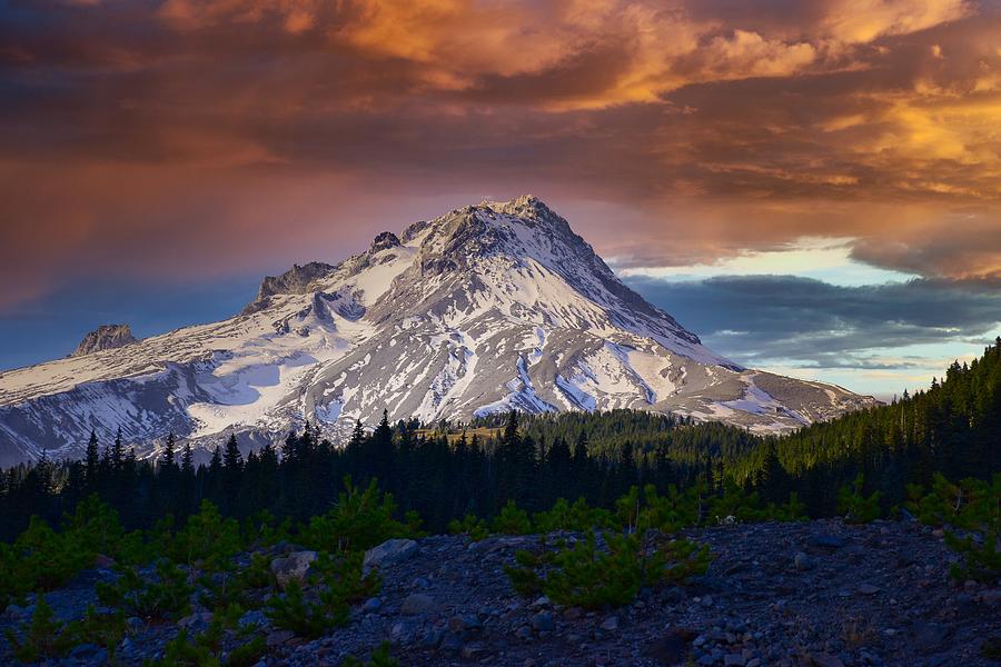 Mt. Hood Photograph by Bruce Bendinger - Fine Art America