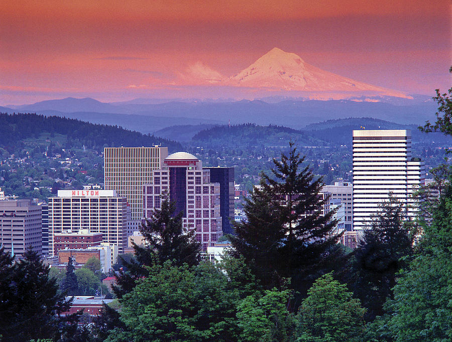 Mt. Hood rising above the city of Portland #1 Photograph by David L Moore