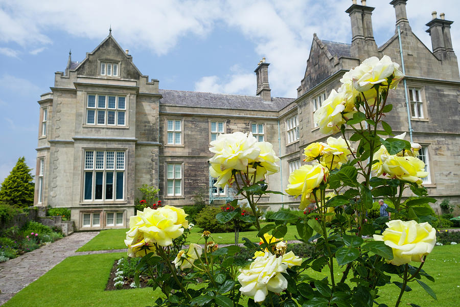 Muckross House rose garden #1 Photograph by David L Moore