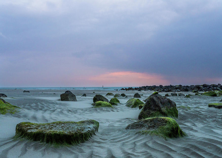 Mudflat along the Dutch coast at sunset #1 Photograph by Tosca Weijers