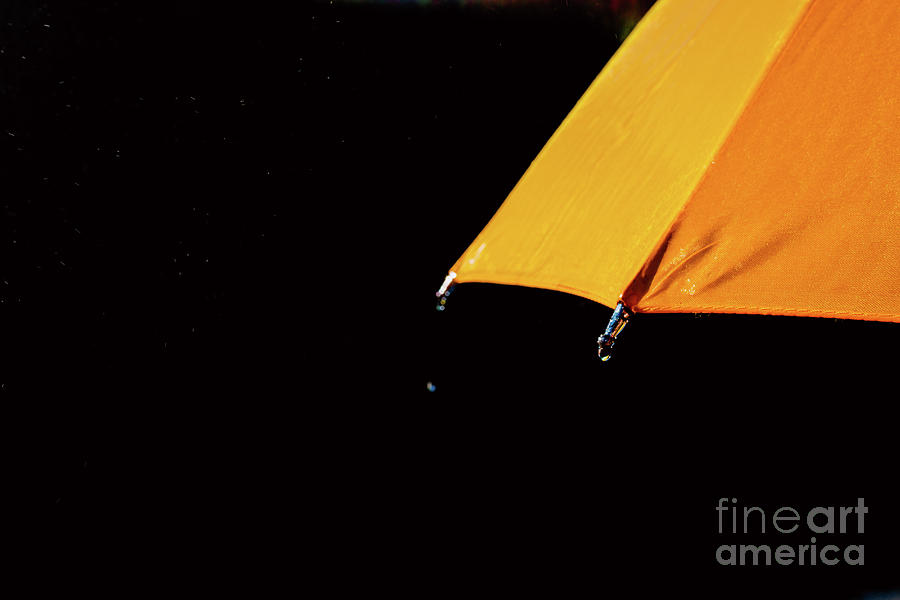 Multicolored umbrella under raindrops isolated on black as backg #1 Photograph by Joaquin Corbalan