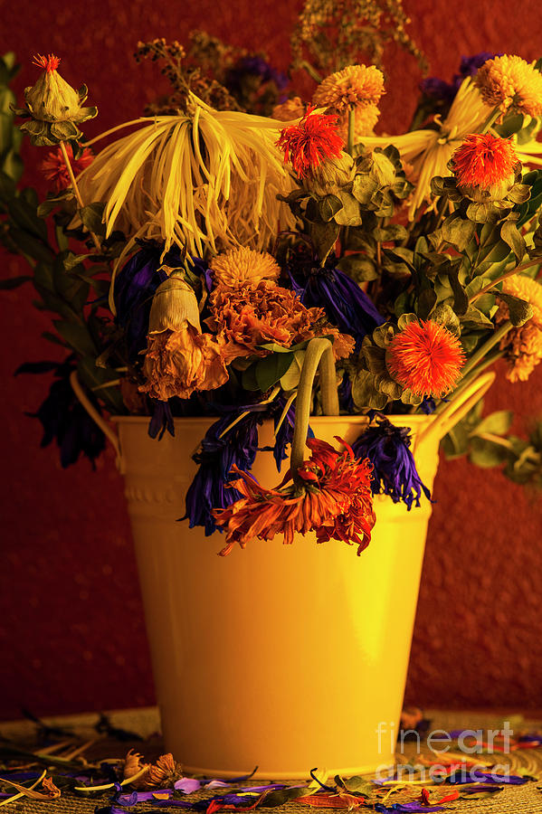 Multicolored Wilting Flowers, #1 Photograph by Jim Corwin