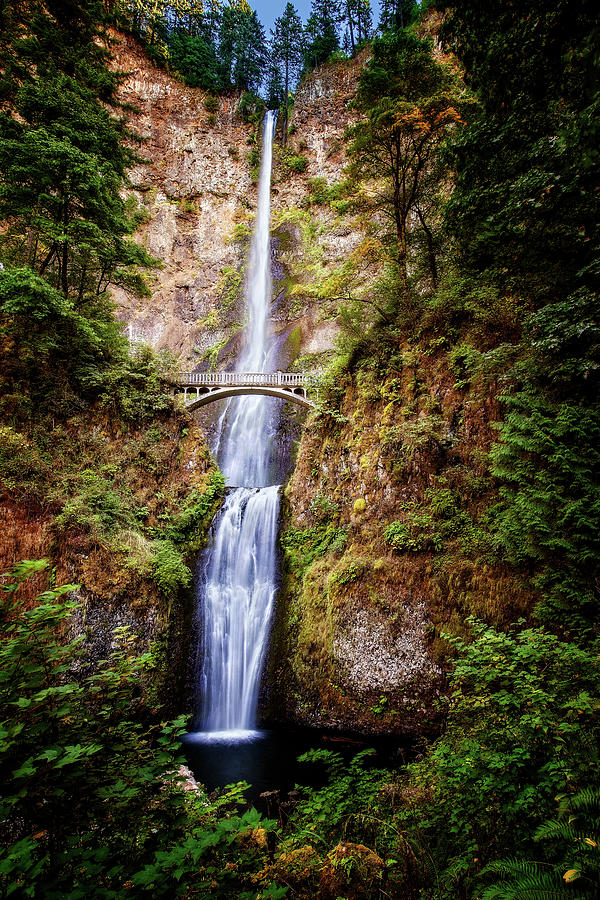 Multnomah Falls in Oregon Photograph by Ian Good