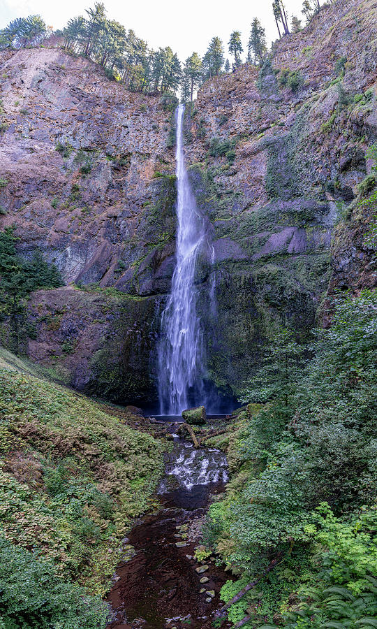 Multnomah Falls Oregon #14 Photograph by Tommy Farnsworth